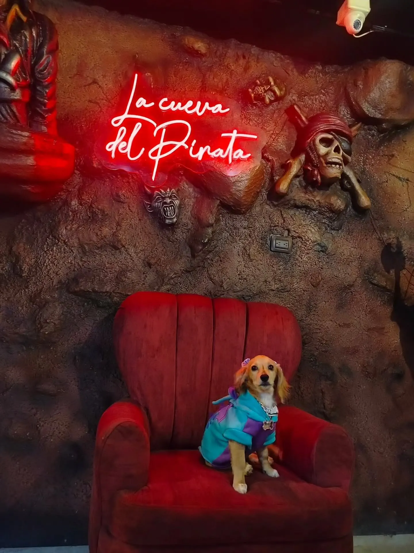 Mascota disfrutando del ambiente temático de La Cueva del Pirata junto al letrero de neón